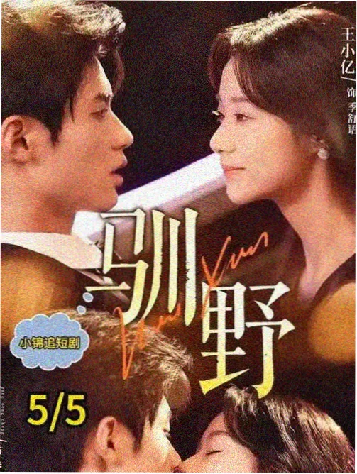 许愿柳美术与配乐解析配图